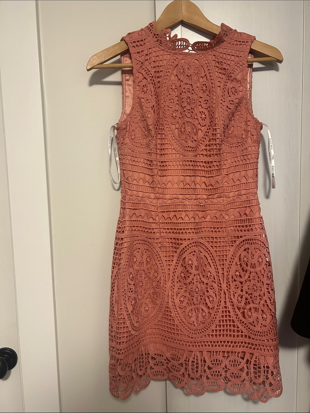 Ever New Sleeveless Crochet Lace Mini Dress in Coral